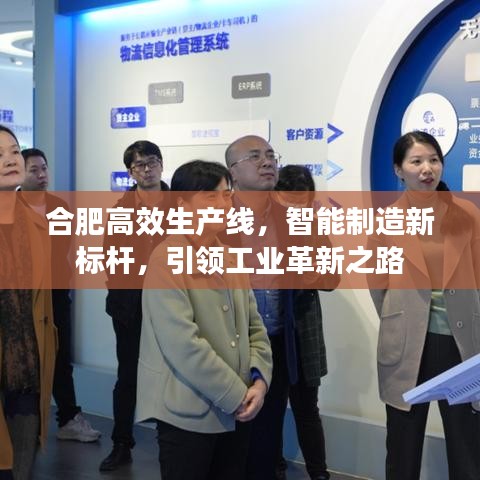 合肥高效生產(chǎn)線，智能制造新標(biāo)桿，引領(lǐng)工業(yè)革新之路