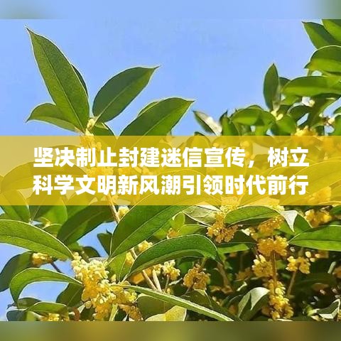 堅決制止封建迷信宣傳，樹立科學文明新風潮引領(lǐng)時代前行