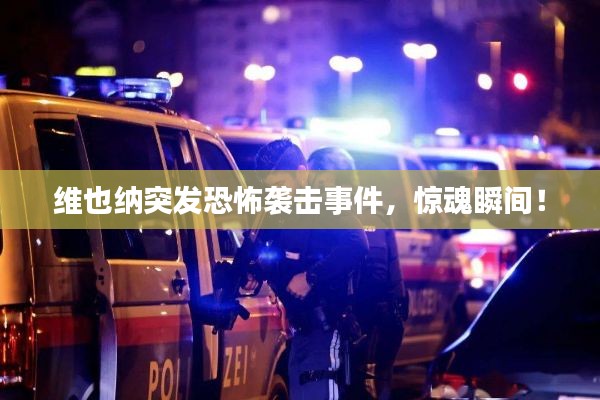 維也納突發(fā)恐怖襲擊事件，驚魂瞬間！