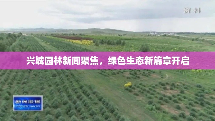 興城園林新聞聚焦，綠色生態(tài)新篇章開啟