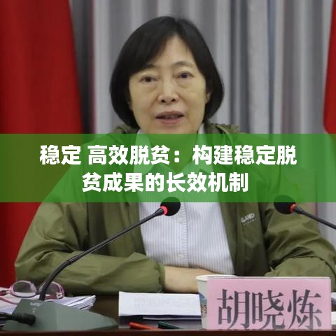 穩(wěn)定 高效脫貧：構(gòu)建穩(wěn)定脫貧成果的長效機制 