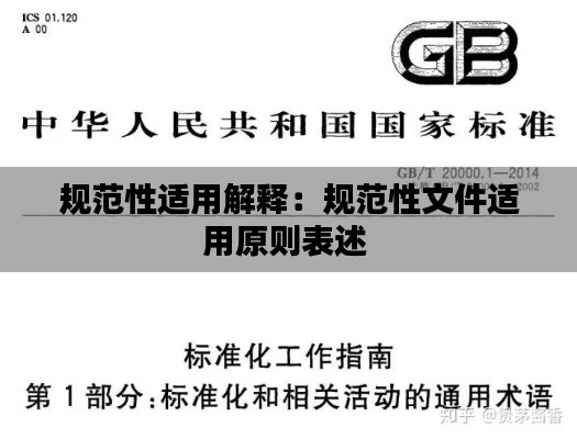 規(guī)范性適用解釋：規(guī)范性文件適用原則表述 