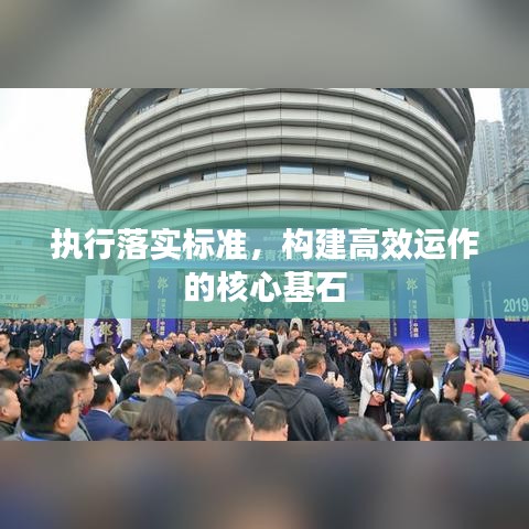 執(zhí)行落實(shí)標(biāo)準(zhǔn)，構(gòu)建高效運(yùn)作的核心基石