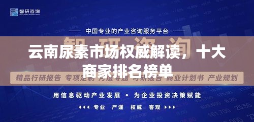 達(dá)官顯貴 第3頁