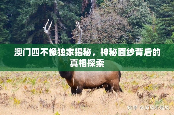 澳門四不像獨家揭秘，神秘面紗背后的真相探索