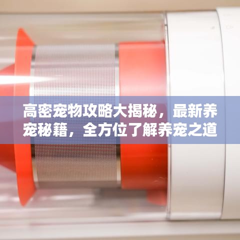 高密寵物攻略大揭秘，最新養(yǎng)寵秘籍，全方位了解養(yǎng)寵之道