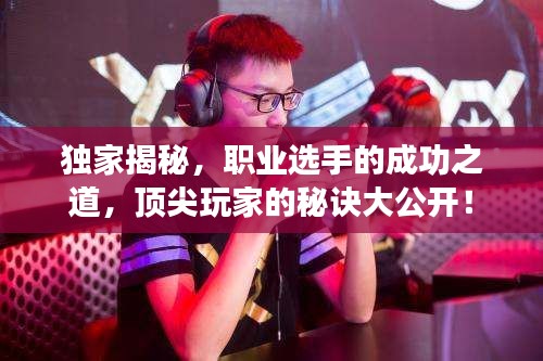 獨(dú)家揭秘，職業(yè)選手的成功之道，頂尖玩家的秘訣大公開！