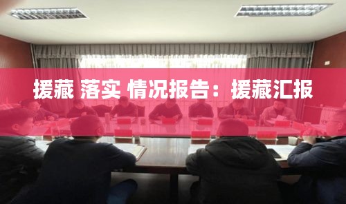 援藏 落實(shí) 情況報(bào)告：援藏匯報(bào) 