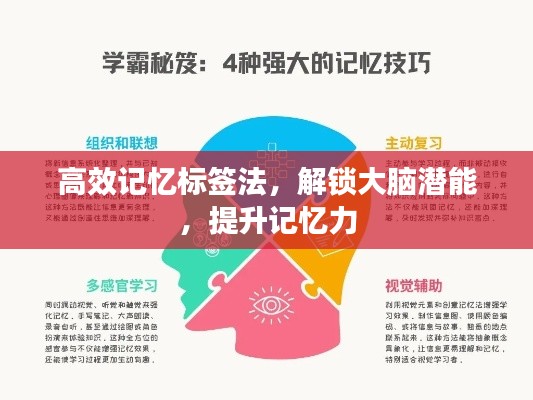 高效記憶標(biāo)簽法，解鎖大腦潛能，提升記憶力
