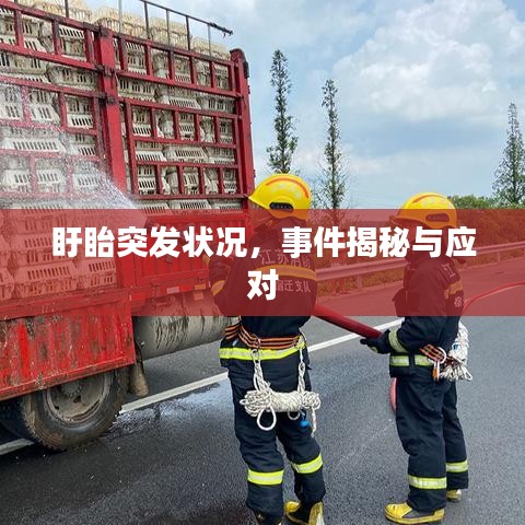 盱眙突發(fā)狀況，事件揭秘與應對