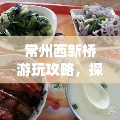 常州西新橋游玩攻略，探秘歷史古韻與美食之旅