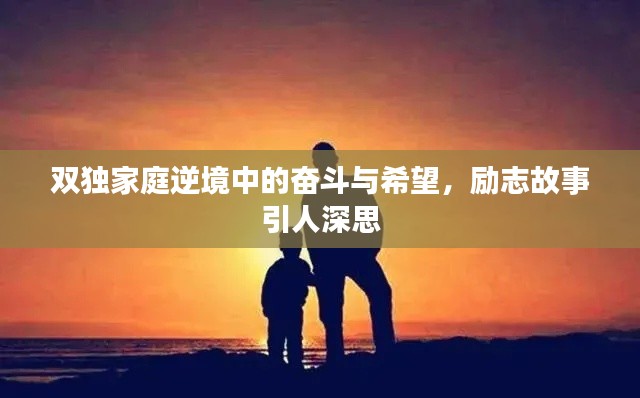 雙獨家庭逆境中的奮斗與希望，勵志故事引人深思