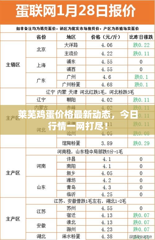 萊蕪雞蛋價(jià)格最新動(dòng)態(tài)，今日行情一網(wǎng)打盡！