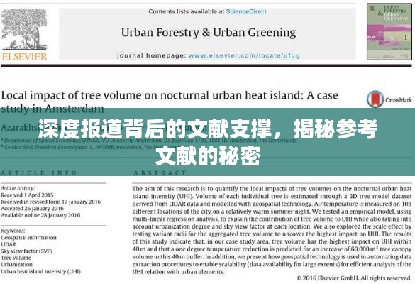 深度報道背后的文獻支撐，揭秘參考文獻的秘密