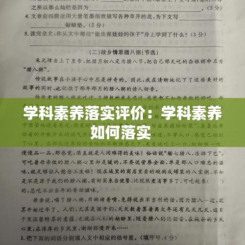 學(xué)科素養(yǎng)落實(shí)評(píng)價(jià)：學(xué)科素養(yǎng)如何落實(shí) 