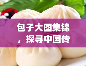 包子大圖集錦，探尋中國傳統(tǒng)美食的無限魅力！