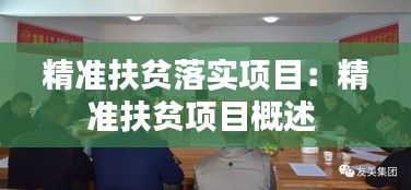 精準(zhǔn)扶貧落實(shí)項(xiàng)目：精準(zhǔn)扶貧項(xiàng)目概述 
