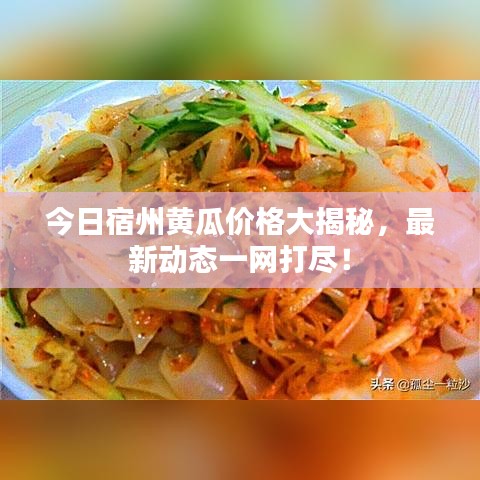 今日宿州黃瓜價(jià)格大揭秘，最新動(dòng)態(tài)一網(wǎng)打盡！