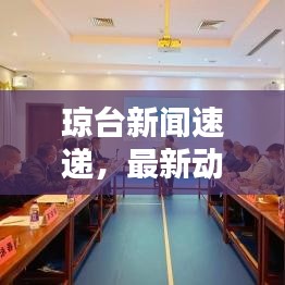 瓊臺新聞速遞，最新動態(tài)與熱點話題全揭秘
