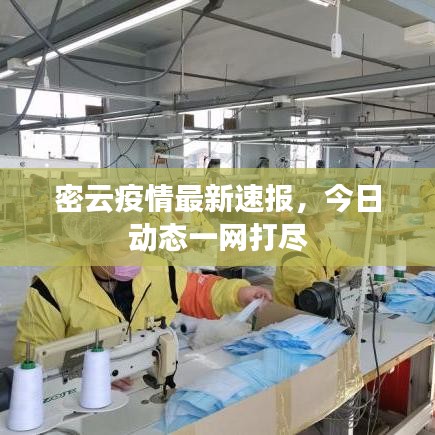密云疫情最新速報，今日動態(tài)一網打盡