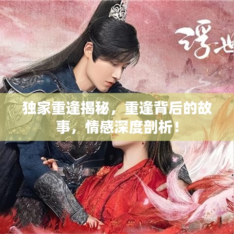 獨(dú)家重逢揭秘，重逢背后的故事，情感深度剖析！