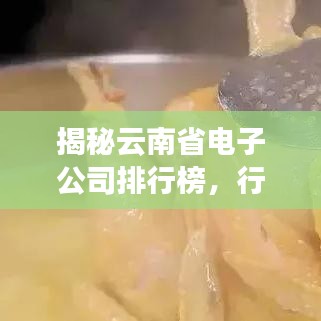 揭秘云南省電子公司排行榜，行業(yè)巨頭一網(wǎng)打盡！
