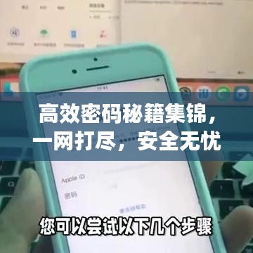 高效密碼秘籍集錦，一網(wǎng)打盡，安全無憂