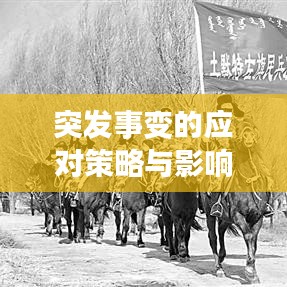 突發(fā)事變的應(yīng)對(duì)策略與影響最小化方法