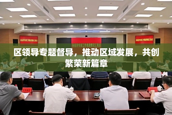 區(qū)領(lǐng)導(dǎo)專題督導(dǎo)，推動區(qū)域發(fā)展，共創(chuàng)繁榮新篇章