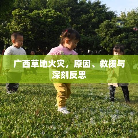 廣西草地火災(zāi)，原因、救援與深刻反思