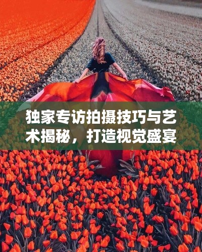 獨(dú)家專訪拍攝技巧與藝術(shù)揭秘，打造視覺(jué)盛宴的秘籍