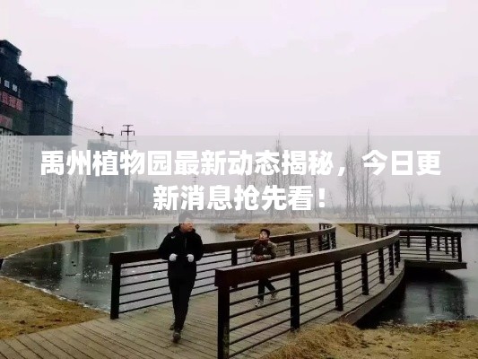 禹州植物園最新動態(tài)揭秘，今日更新消息搶先看！