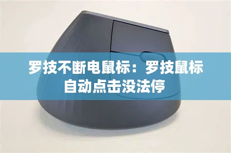坌鳥先飛 第3頁