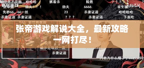 張帝游戲解說(shuō)大全，最新攻略一網(wǎng)打盡！