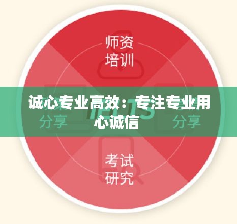 誠(chéng)心專業(yè)高效：專注專業(yè)用心誠(chéng)信 