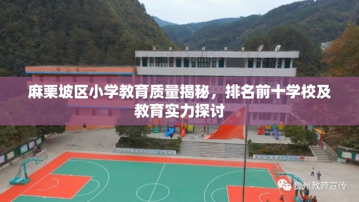 麻栗坡區(qū)小學(xué)教育質(zhì)量揭秘，排名前十學(xué)校及教育實(shí)力探討