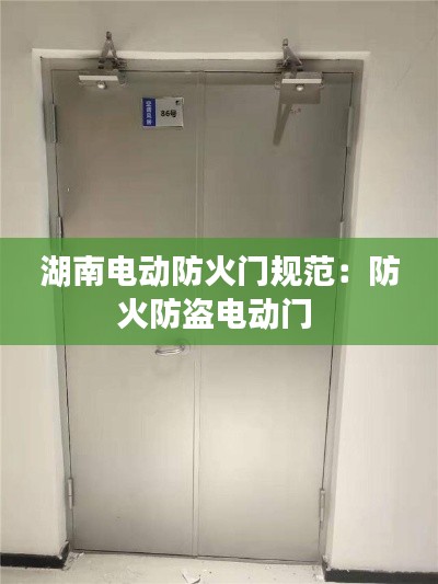 湖南電動(dòng)防火門規(guī)范：防火防盜電動(dòng)門 