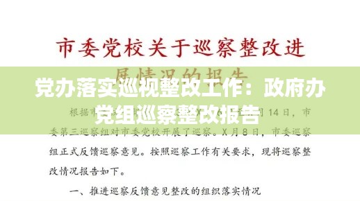 黨辦落實(shí)巡視整改工作：政府辦黨組巡察整改報告 
