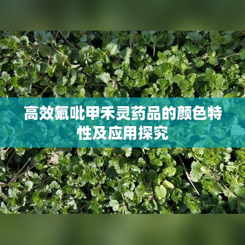 傷弓之鳥 第2頁