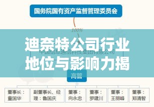 迪奈特公司行業(yè)地位與影響力揭秘，深度解析排名數(shù)據(jù)