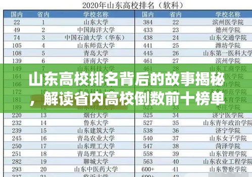 山東高校排名背后的故事揭秘，解讀省內(nèi)高校倒數(shù)前十榜單