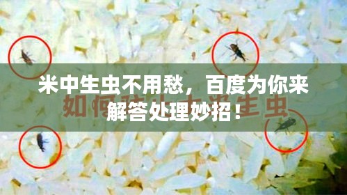 米中生蟲不用愁，百度為你來解答處理妙招！