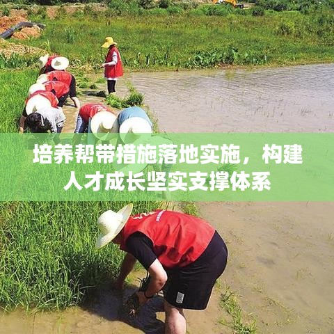 培養(yǎng)幫帶措施落地實施，構(gòu)建人才成長堅實支撐體系