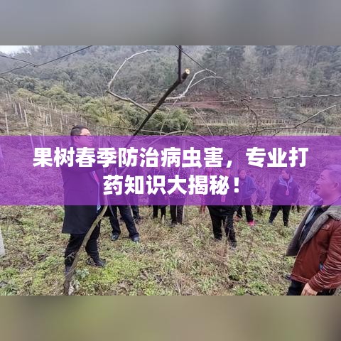 果樹春季防治病蟲害，專業(yè)打藥知識大揭秘！