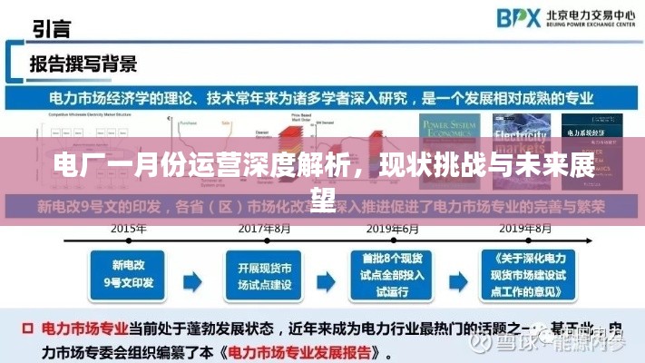電廠一月份運營深度解析，現(xiàn)狀挑戰(zhàn)與未來展望