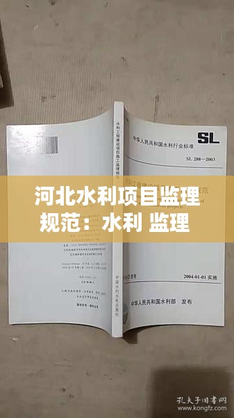 河北水利項(xiàng)目監(jiān)理規(guī)范：水利 監(jiān)理 規(guī)范 