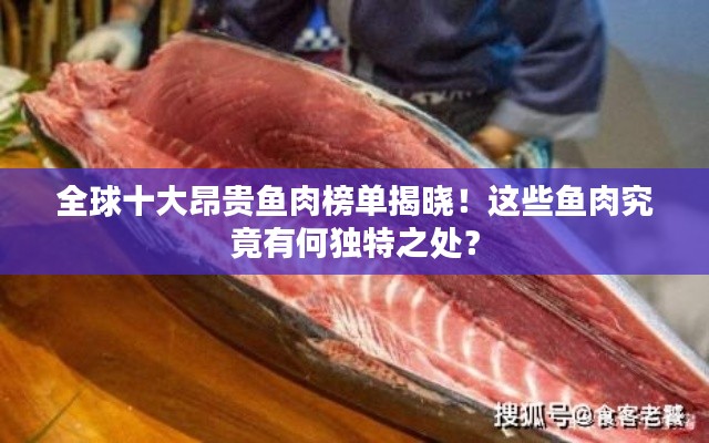 棲鳥于泉 第2頁