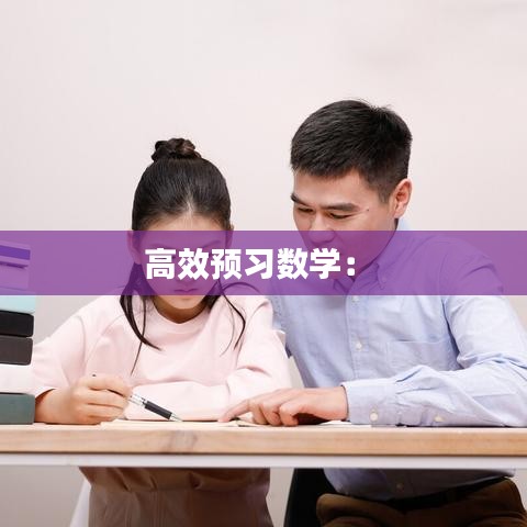 高效預習數(shù)學： 