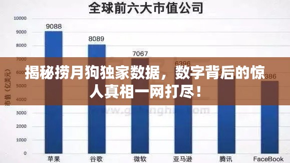 揭秘?fù)圃鹿藩毤覕?shù)據(jù)，數(shù)字背后的驚人真相一網(wǎng)打盡！