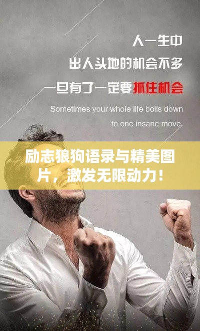 勵志狼狗語錄與精美圖片，激發(fā)無限動力！